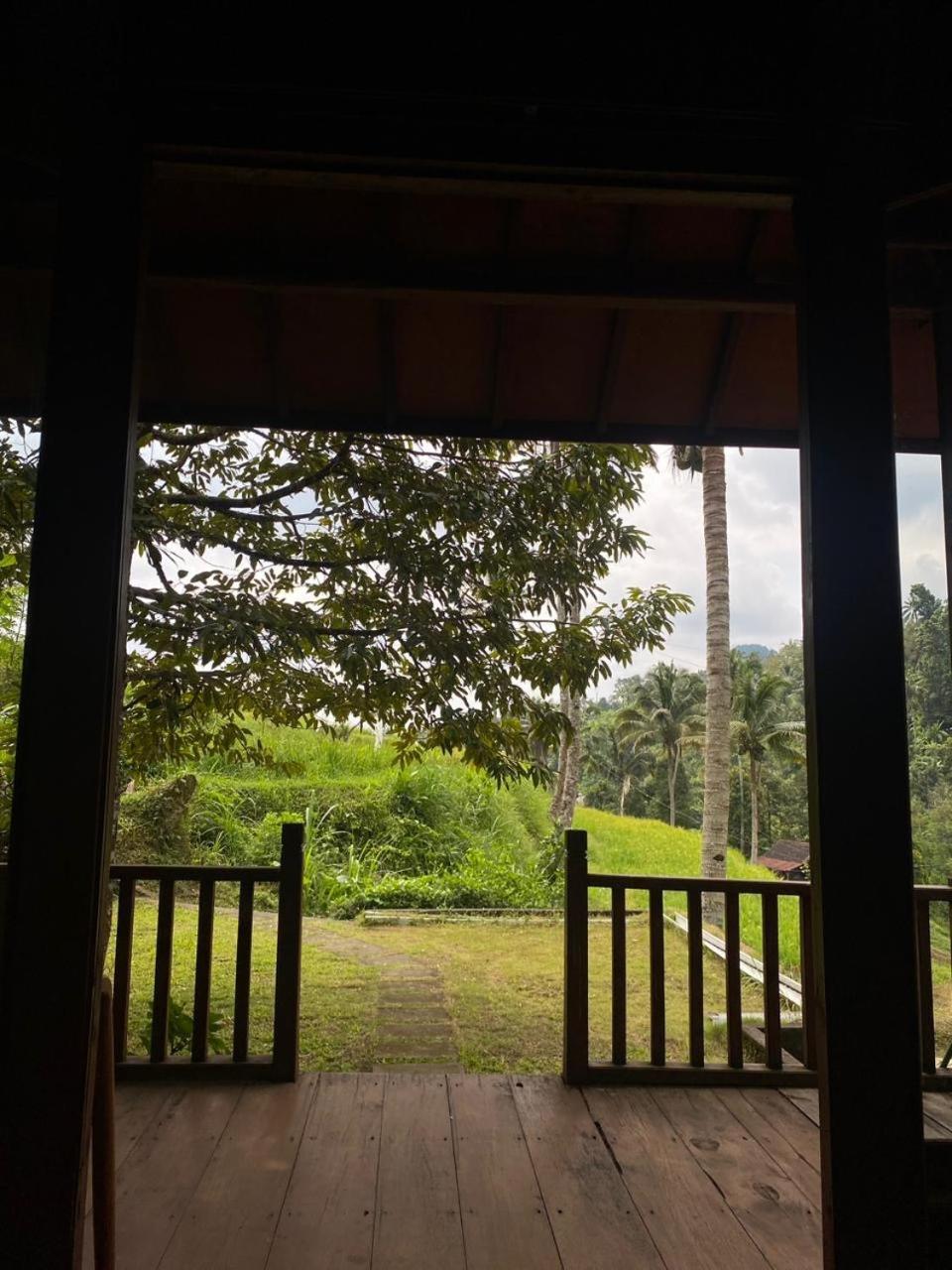 Uma D'Nyuh Homestay Singaraja Buitenkant foto