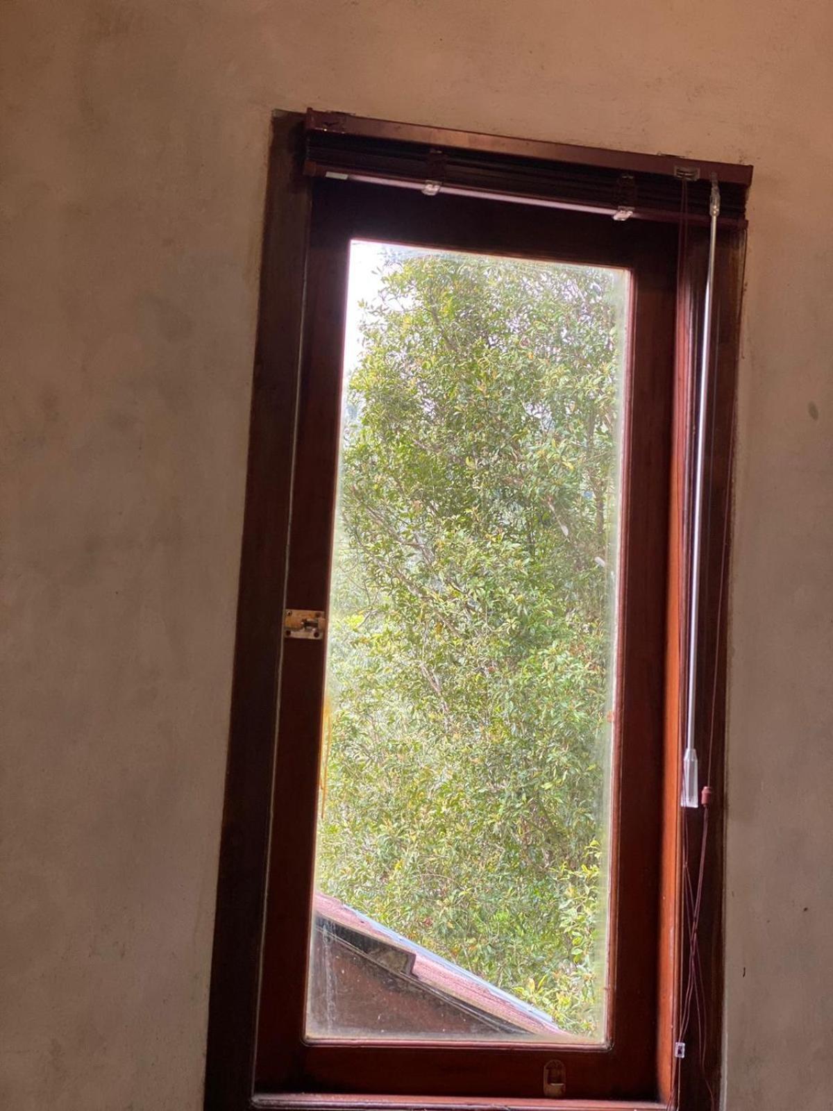 Uma D'Nyuh Homestay Singaraja Buitenkant foto