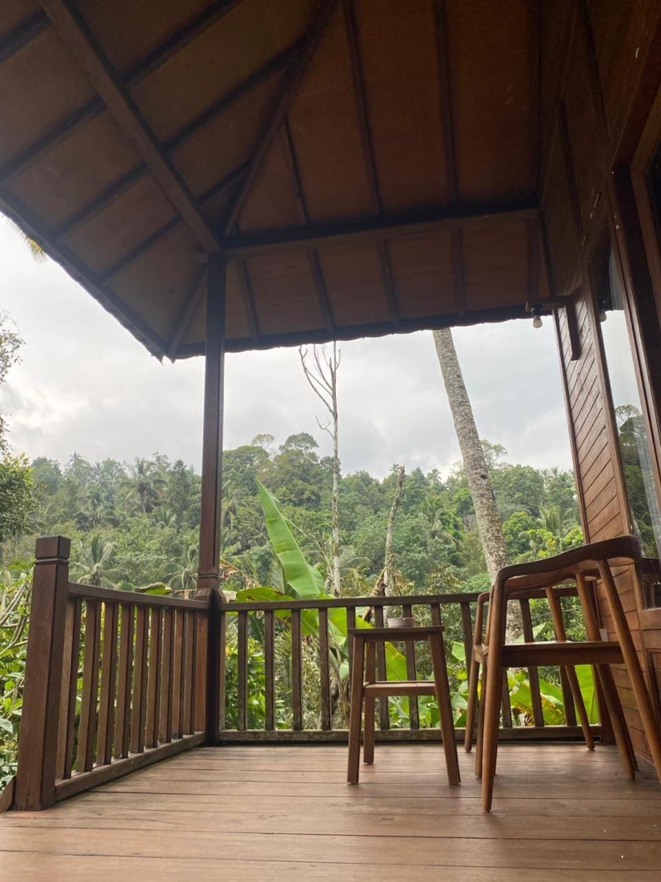 Uma D'Nyuh Homestay Singaraja Buitenkant foto