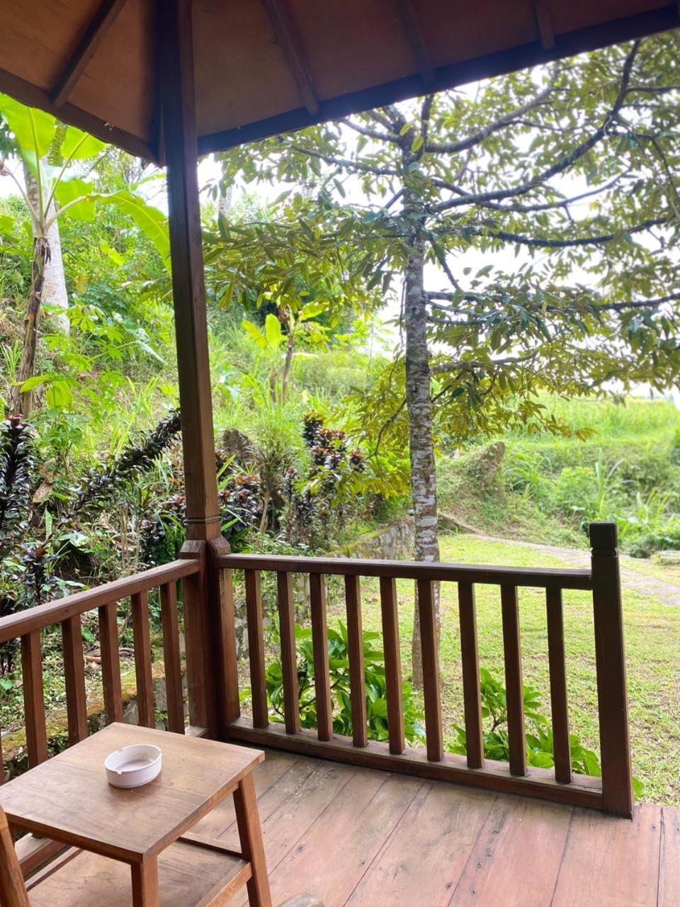 Uma D'Nyuh Homestay Singaraja Buitenkant foto