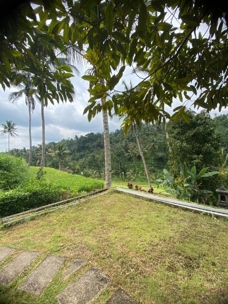 Uma D'Nyuh Homestay Singaraja Buitenkant foto