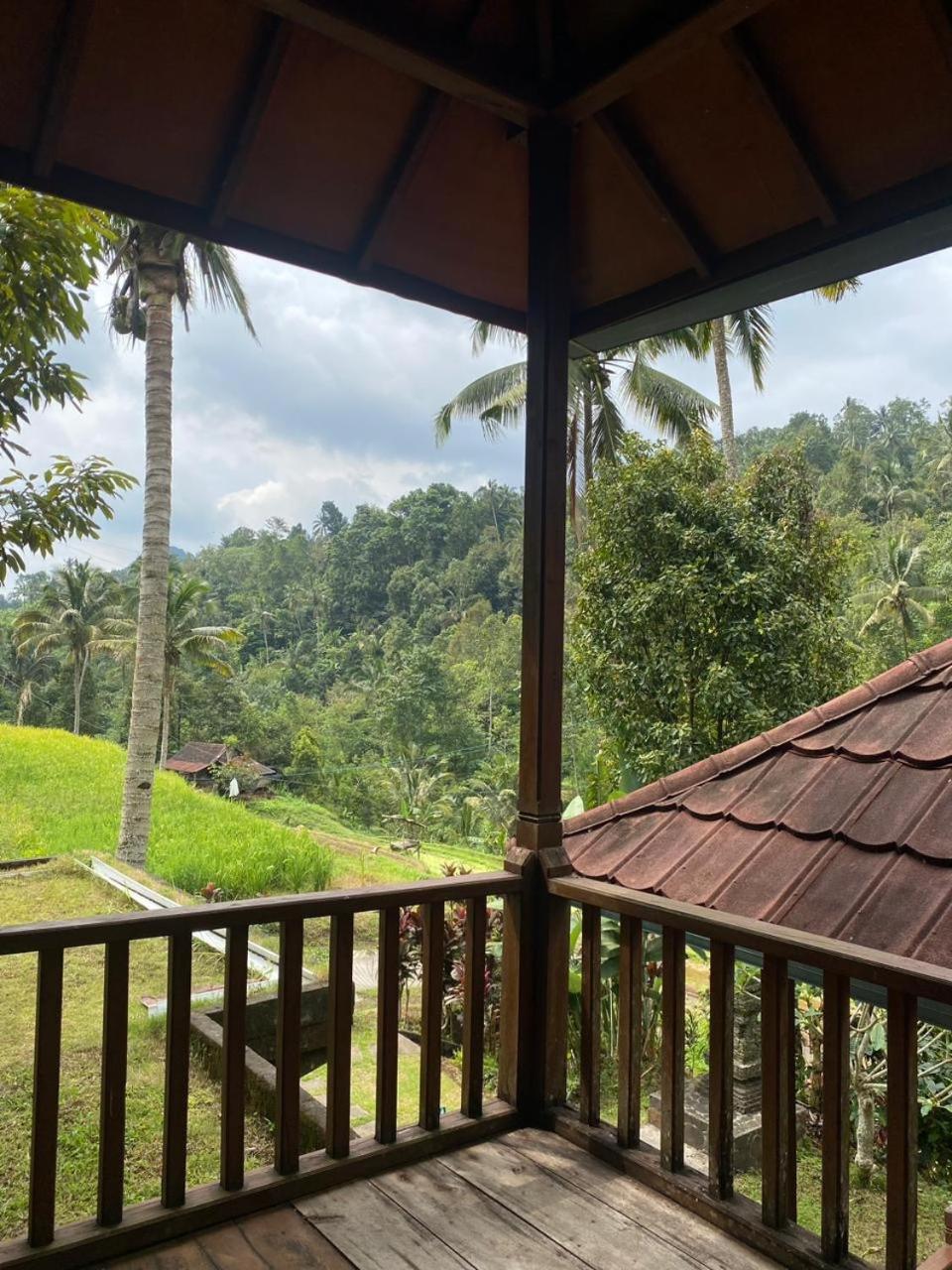 Uma D'Nyuh Homestay Singaraja Buitenkant foto